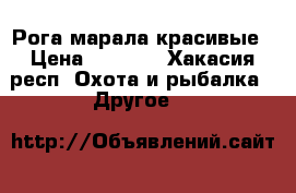 Рога марала красивые › Цена ­ 8 000 - Хакасия респ. Охота и рыбалка » Другое   
